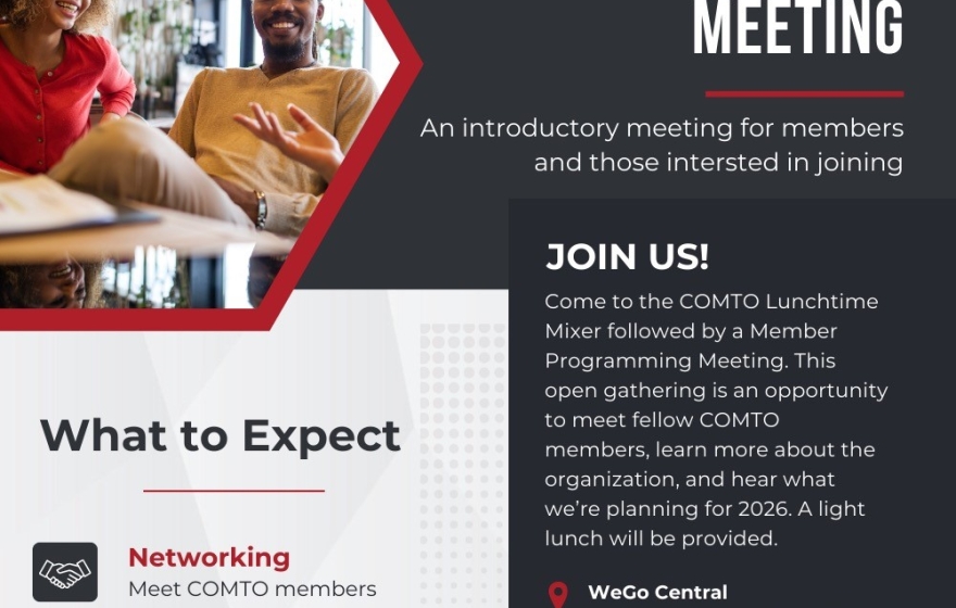 Lunchtime Mixer & Programming Meeting